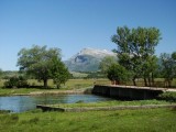 DSC00045